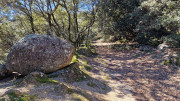 Gargantua_26_03-66