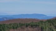 Gargantua_26_03-86