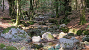 Guiral_26-10