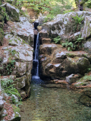 Guiral_26-14