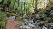 Guiral_26-15