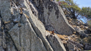Guiral_26-39