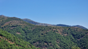 Malaparade_26_09-85