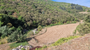 Montaigu_26_08-1