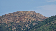 Montaigu_26_08-101
