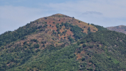 Montaigu_26_08-103