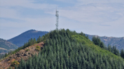 Montaigu_26_08-105