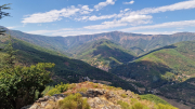 Montaigu_26_08-107