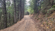 Montaigu_26_08-114