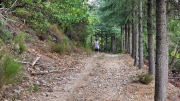 Montaigu_26_08-116