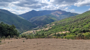 Montaigu_26_08-117