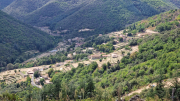 Montaigu_26_08-118