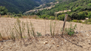 Montaigu_26_08-120