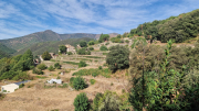 Montaigu_26_08-15