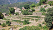 Montaigu_26_08-16