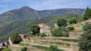 Montaigu_26_08-19