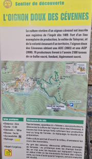 Montaigu_26_08-2