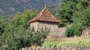 Montaigu_26_08-23