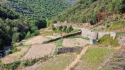 Montaigu_26_08-35
