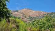 Montaigu_26_08-41