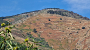 Montaigu_26_08-42