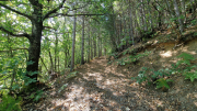 Montaigu_26_08-43