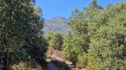 Montaigu_26_08-44