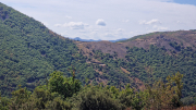 Montaigu_26_08-47