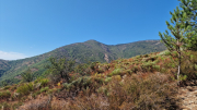 Montaigu_26_08-49