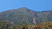 Montaigu_26_08-50