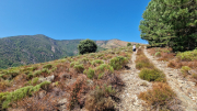 Montaigu_26_08-52