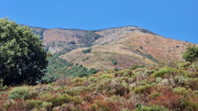 Montaigu_26_08-53