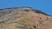Montaigu_26_08-54