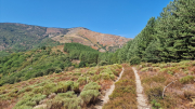 Montaigu_26_08-55