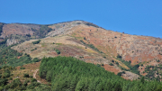 Montaigu_26_08-56