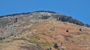 Montaigu_26_08-57