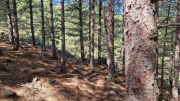 Montaigu_26_08-58