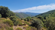 Montaigu_26_08-61