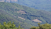 Montaigu_26_08-63