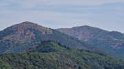 Montaigu_26_08-65