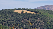 Montaigu_26_08-67