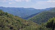 Montaigu_26_08-71