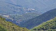 Montaigu_26_08-72