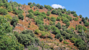 Montaigu_26_08-74
