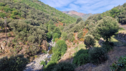 Montaigu_26_08-8