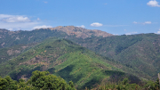 Montaigu_26_08-81