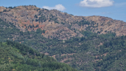 Montaigu_26_08-82