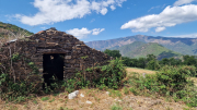 Montaigu_26_08-84