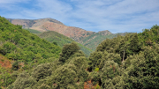 Montaigu_26_08-9