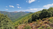 Montaigu_26_08-90